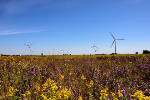 Wind Project. (Photo: Business Wire)