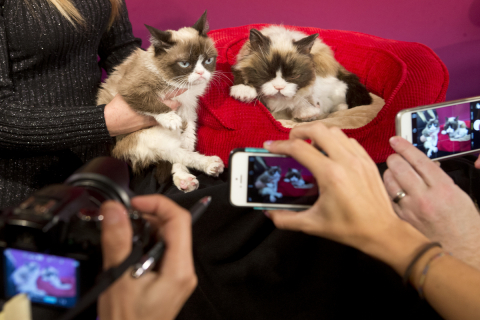Grumpy Cat, left, poses next to Grumpy's animatronic figure at Madame Tussauds San Francisco on December 8, 2015 (Photo: Beck Diefenbach / Madame Tussauds)