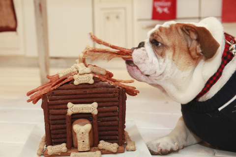 King Bentley the Bulldog indulges in a Gingerbread Dog House, made with popular treats available at PetSmart. This easy-to-make DIY Gingerbread Dog House is made of dog-friendly gingerbread, Milk-Bone dog biscuits, Pup-Peroni walls and a Milo's Kitchen treat-filled roof. (Photo: Business Wire)