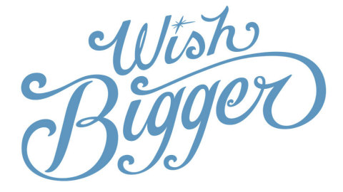 eBay Wish Bigger