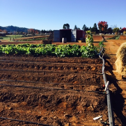 Netafim partners with Farm From A Box to provide drip irrigation technology for the innovative sustainable micro farming system. (Photo: Business Wire)