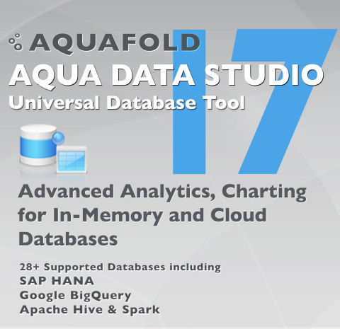 Aqua Data Studio 17 (Graphic: Business Wire)
