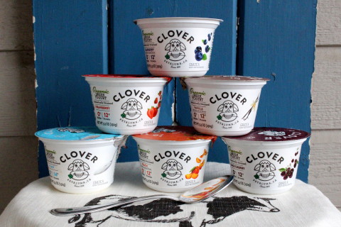 Clover Organic Greek Yogurt (Photo: Business Wire)