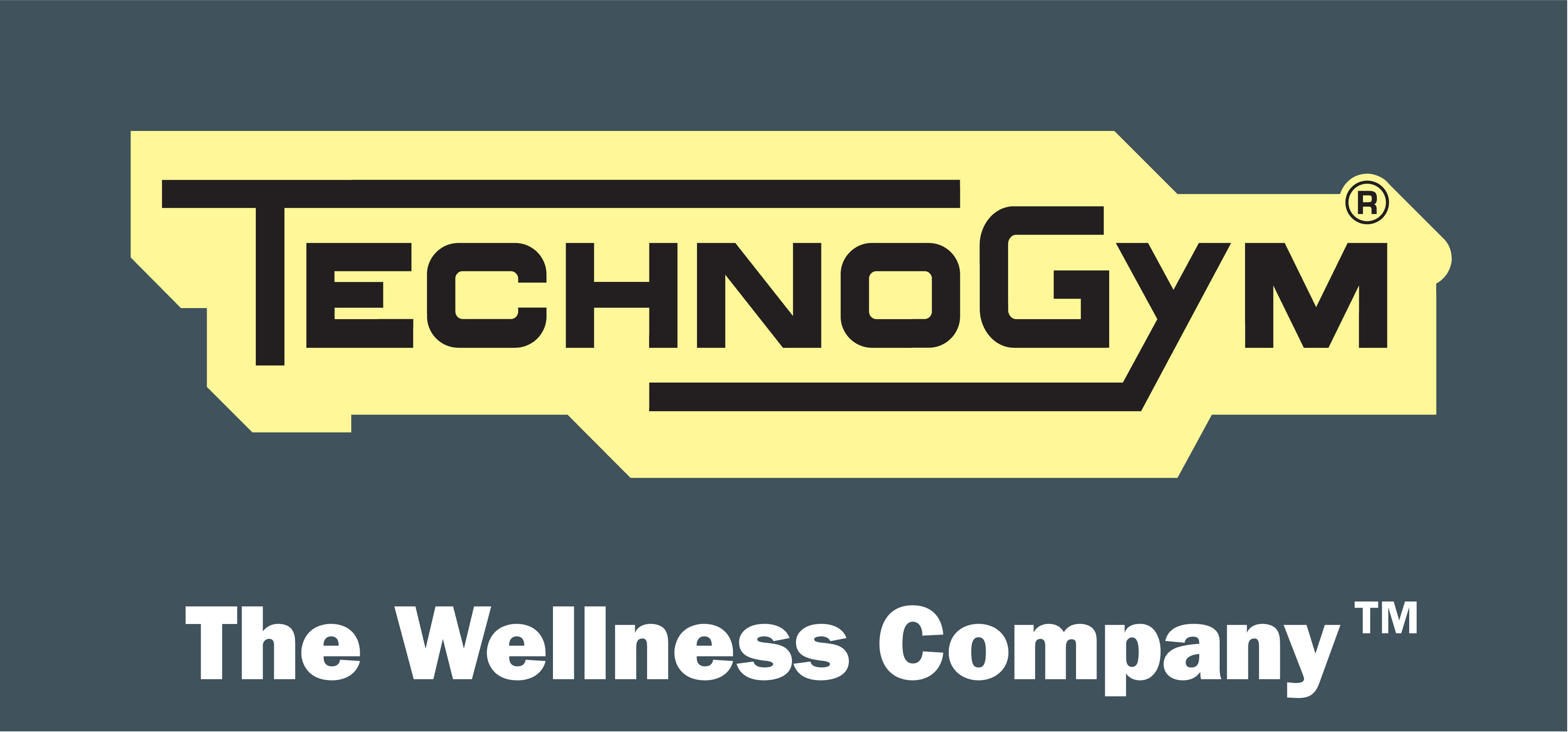 Technogym company online profile