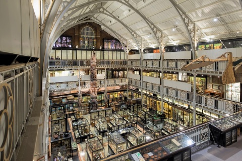 Soraa, the world leader in GaN on GaN LED technology, announced that its LED lamps have been installed at the Pitt Rivers Museum at the University of Oxford in Oxford, England. (Photo credit: Redshift Photography)