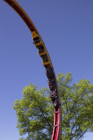 Riders experience a pure adrenaline rush on Fireball…The Ultimate Coaster Loop, as it propels them through the single 360° loop over and over again. Traveling face to face and back to back in unique "face-off" designed seating, thrill seekers will soar back and forth pendulum style as they build up enough speed to rocket head over heels and then stop upside down for some extreme, inverted hang time on this 7-story coaster experience at Six Flags St. Louis.