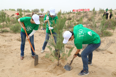 Axalta employee volunteers plant trees in Ordos, China. (Photo: Axalta)