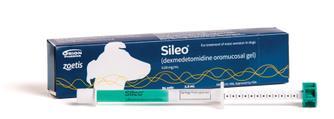 Veterinarians prescribe SILEO® in a 3mL high-density polyethylene syringe, equipped with a dosing ring and end cap and packaged in a cardboard box. The dosage is 125 mcg/m2. It is administered by placing the gel between the dog’s cheek and gum and allowing for oral transmucosal absorption. (Photo credit: Zoetis)