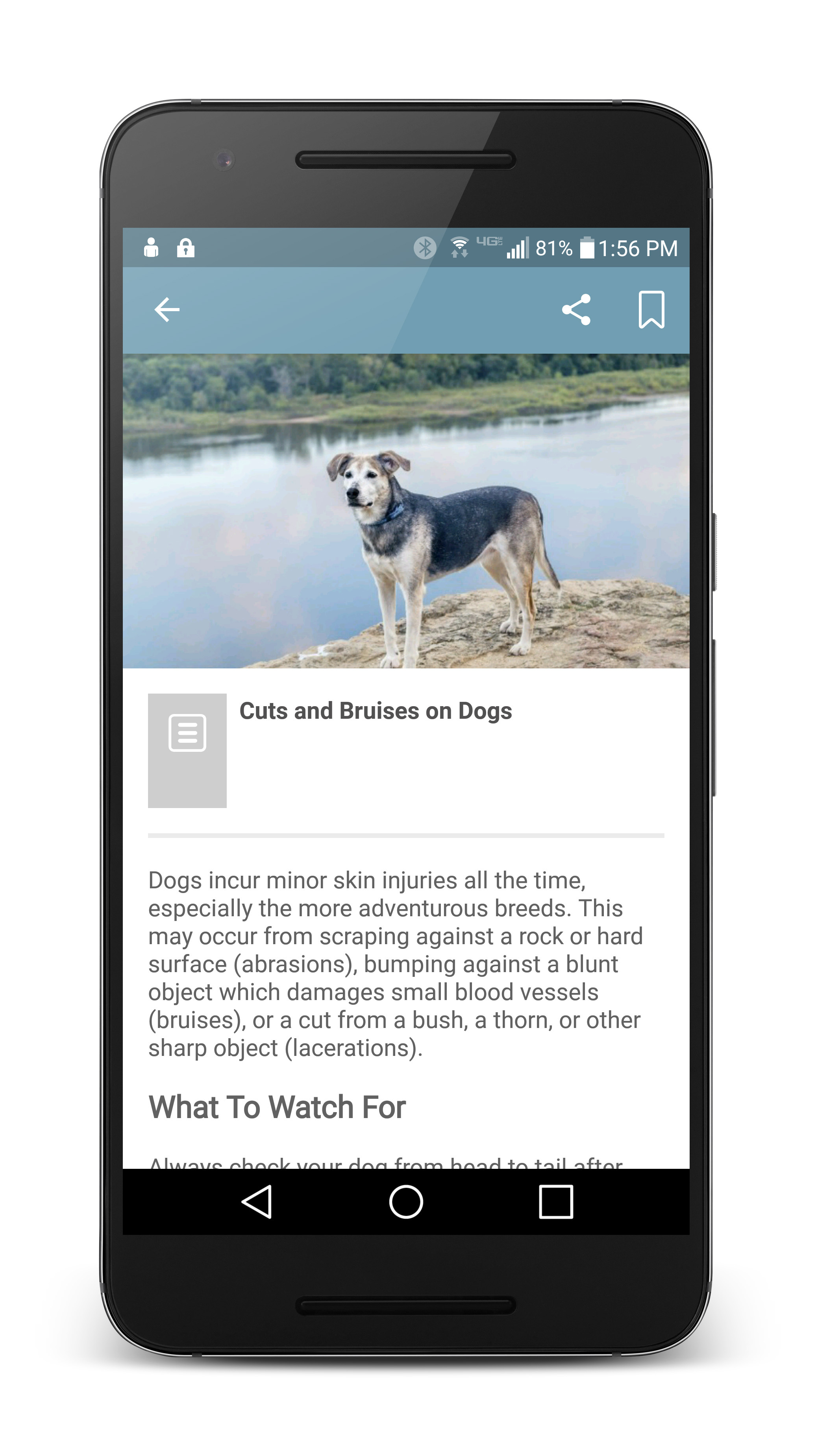 askPETMD App Connects Pet Parents with the Most Comprehensive Pet Care  Answers Covering Dog, Cat, Fish, Bird, Reptile, Gerbil and More | Business  Wire