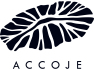 “Rising Expectations” before the Release of 3 Products in Accoje       Whitening Capsule Line