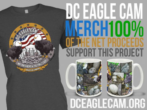 For a limited time, D.C. Eagle Cam viewers can buy a special-edition D.C. Eagle Cam T-shirt and Coffee Mug. 100% of the net proceeds from the sale of these items will support the costs of operating and maintaining this cam project. (Photo: Business Wire)