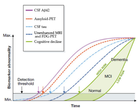 Modified from: Selkoe DJ, Hardy J. The amyloid hypothesis of Alzheimer's disease at 25 years. EMBO Mol Med. 2016 Mar 29. pii: e201606210. doi: 10.15252 (Graphic: Business Wire)