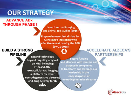 Alzeca's strategic direction (Graphic: Business Wire)