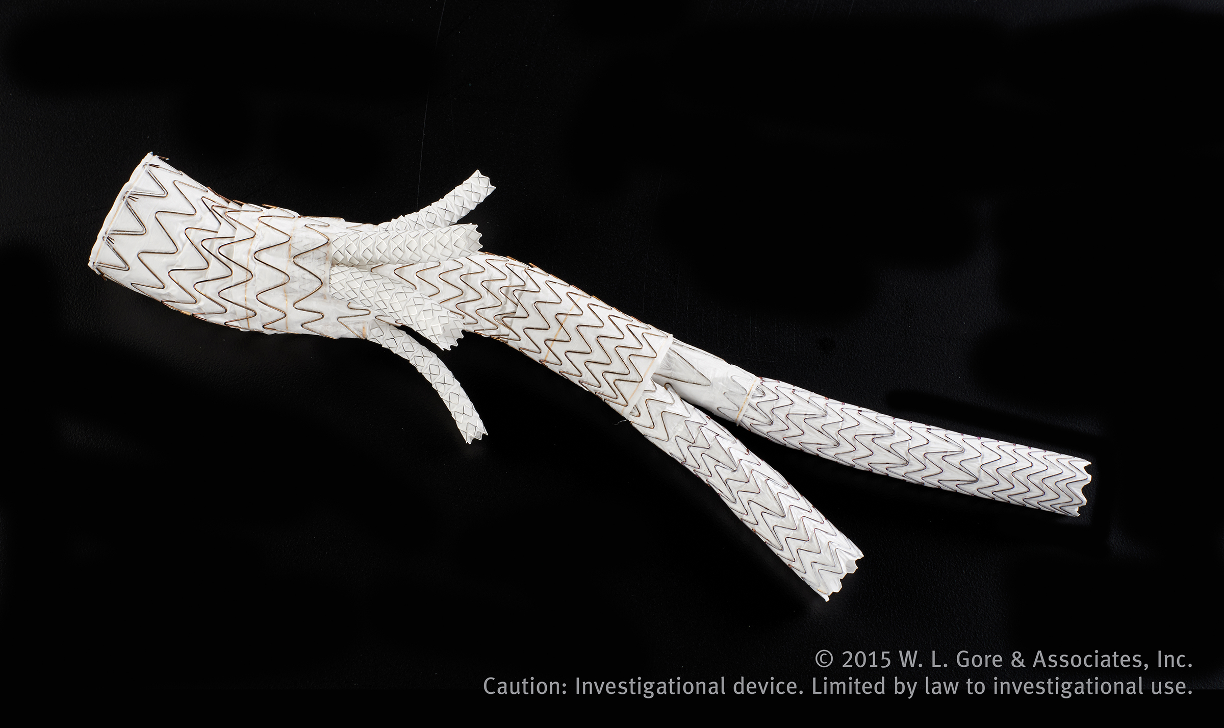 the gore excluder thoracoabdominal branch endoprosthesis (tambe)