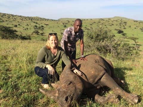 Dr. Suzan Murray of Smithsonian Global Health and Dr. Mathew Mutinda of Kenya Wildlife Service with an anesthetized rhinoceros. (Photo: Business Wire)