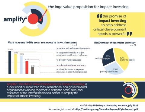 Infographic for Amplify Impact Investing Report (Graphic: Business Wire)