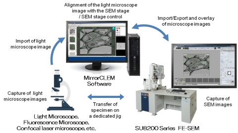 Overview of the MirrorCLEM System (Graphic: Business Wire)