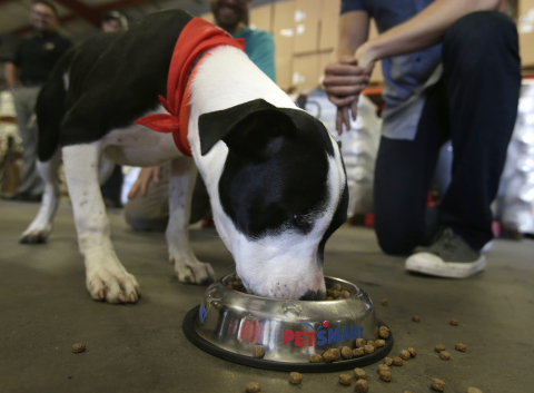 A shelter pup enjoys breakfast thanks to PetSmart and PetSmart Charities and DOG for DOG which donated 300,000 DOG for DOG meals to support pets in need in the Tucson area to Pima Animal Care Center (PACC). This delivery completed a one million-plus meal donation across the continent and will provide meals for 20,000 dogs in need at the PACC shelter, allowing the shelter to use its annual food budget of $80,000 to provide services such as veterinary care. (Photo: Business Wire)