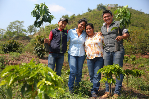 Starbucks to Donate a Rust-Resistant Coffee Tree to Farmers for Every Cup of Mexico Chiapas Coffee Sold on National Coffee Day, September 29. (Photo: Business Wire)