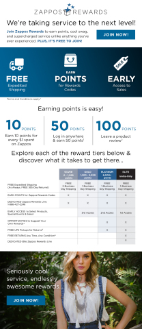 Zappos.com's first-ever loyalty program, Zappos Rewards, offers customers an elevated shopping experience and next-level customer service. (Graphic: Business Wire)