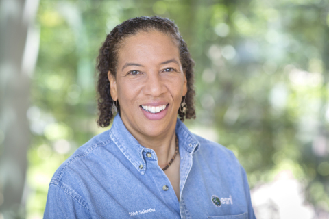 Esri chief scientist Dawn J. Wright, PhD, has been named a 2016 fellow of the Geological Society of America (GSA). (Photo: Business Wire)