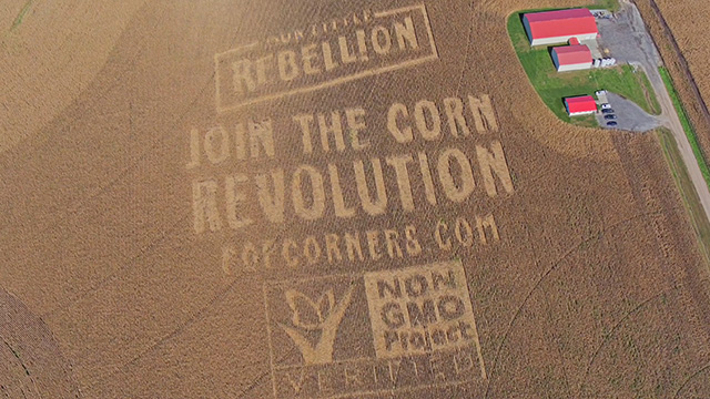 To join Our Little Rebellion and the Non-GMO Project in the non-GMO corn revolution, visit www.PopCorners.com.