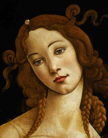 Sandro Botticelli and workshop Venus (detail) Oil on canvas, transferred from wood panel Credit: Galleria Sabauda, Turin