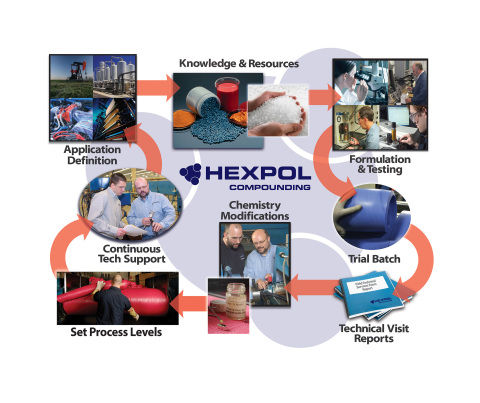 Schematic of HEXPOL Continuous Process Improvement (Photo: Business Wire)