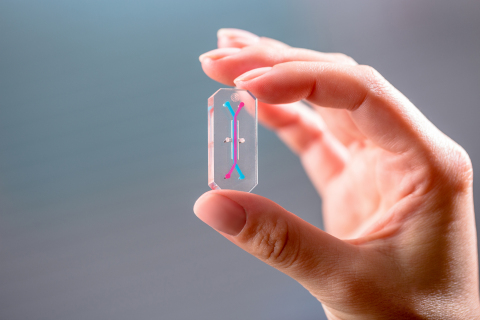 Organs-on-Chips technology will be integrated into evaluation of new drugs through collaboration of Emulate and Covance (part of LabCorp). (Photo: Business Wire) 
