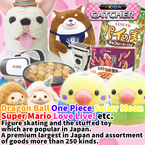 The Japanbased NETCH" Launching Service in Korea as "AKIBA