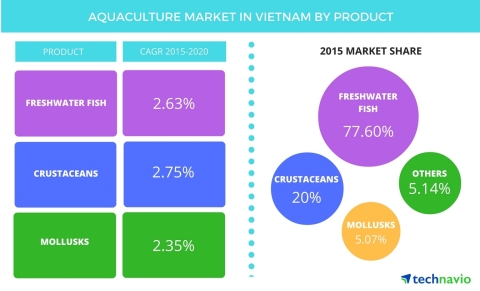 Technavio publishes a new market research report on the aquaculture market in Vietnam from 2016-2020. (Photo: Business Wire)