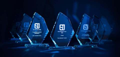 Savvy Investor Awards - Winners' Trophies (Photo: Business Wire) 