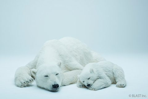 Polar bear 2 (Photo: Business Wire)
