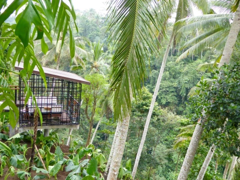 Cafes in the Sky - There are cafe spaces designed to blend in with the jungle they overlook. (Photo: Business Wire)