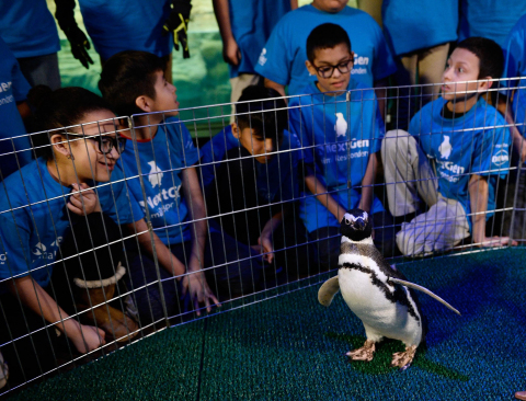 IMAGE DISTRIBUTED BY DAWN - Fifth grade students from Telpochcalli Elementary Chicago Public School experience a penguin encounter as part of the launch of Dawn and Shedd Aquarium's NextGen Animal Responders program at Shedd Aquarium on Tuesday, Jan. 17, 2017 in Chicago. (Brian Kersey/AP Images for Dawn)