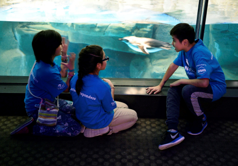 IMAGE DISTRIBUTED BY DAWN - Ixchel Goodhue, left to right, Rebecca Albarran and Danny Leyva, fifth grade students from Telpochcalli Elementary Chicago Public School, experience a penguin encounter as part of the launch of Dawn and Shedd Aquarium's NextGen Animal Responders program at Shedd Aquarium on Tuesday, Jan. 17, 2017 in Chicago. (Brian Kersey/AP Images for Dawn)