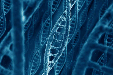 DNA 3D rendering (Graphic: Business Wire)