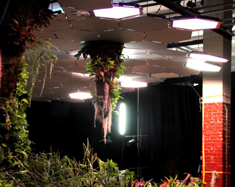 Lighting Science worked to develop and install 24 adjustable LED lighting solutions into the Lowline canopy at the lab. (Photo: Business Wire)