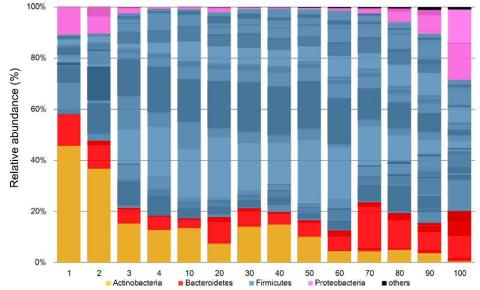 (Fig.2) Sequential changes of the gut microbiota accompanying age increase (Graphic: Business Wire)