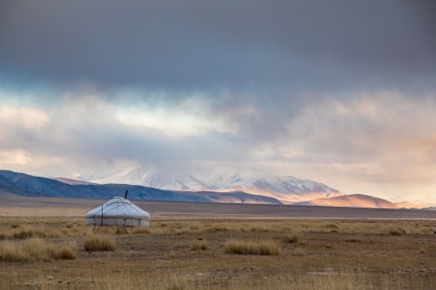 TCS World Travel Destination, Mongolia (Photo: Business Wire)