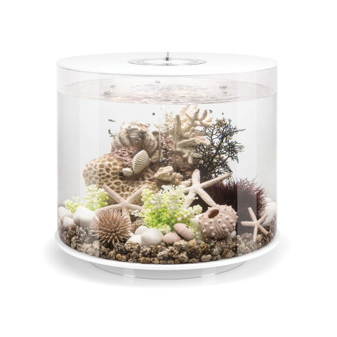 The new OASE biOrb® TUBE aquariums feature a cylindrical-profile with a unique 360° transparent view and an unprecedented array of multi-color LED lighting options with easy remote control customization. (Photo: Business Wire)