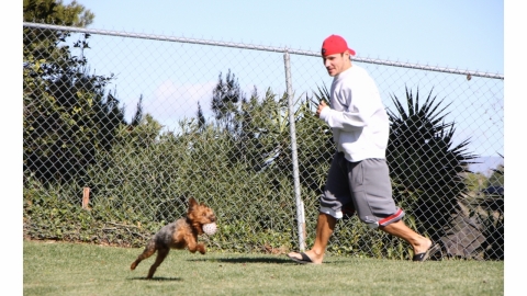 Nick Lachey plays outside with his dog, Wookie. Photo: Zoetis.