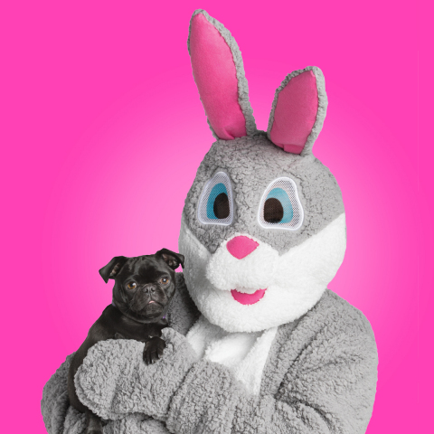 PetSmart has launched its Easter Collection chock-full of festive apparel, accessories, toys and treats for the season. Pet parents are invited to celebrate the spring holiday with a photo op of their pet and the Easter Bunny, who will be visiting all PetSmart stores across North America, Saturday, April 8, 12-4 p.m. (local time; please check your local store for availability). (Photo: Business Wire)