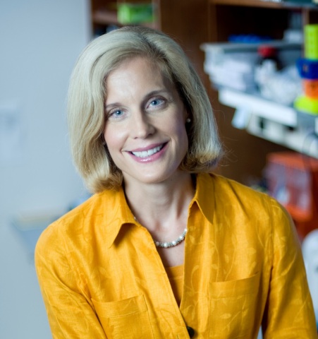 Dr. Jennifer Pietenpol named Chief Scientific Advisor for Susan G. Komen (Photo: Business Wire)