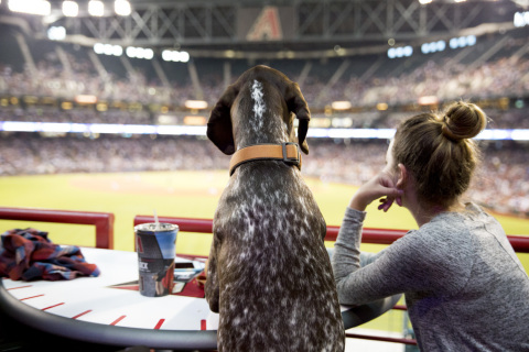 A pet parent and her pup take in America’s favorite pastime on the PetSmart Patio at Chase Field, where for every Sunday and Monday home games this season, dogs are welcome on the PetSmart Patio, which features 30 Doggie Suites and all-you-can-eat baseball fare for people and doggie ice cream complete with kibble topping for the pups. Permanent PetSmart-sponsored facilities at Chase Field include the Patio, indoor and outdoor dog parks and The Adopt Spot™ pop-up adoption center, where 60 pups were adopted by dog-loving D-backs fans last season -- making Chase the most dog-friendly stadium in the U.S. (Photo: Business Wire)