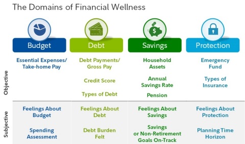 Financial Wellness domains and scoring measures (Photo: Business Wire) 