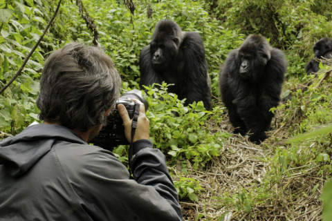 Gorilla Trekking (Photo: Business Wire)
