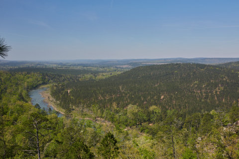 View of the Project Pushmataha timberland offering (Photo: Business Wire)