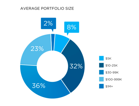 Portfolio Demographics of YieldStreet Investors