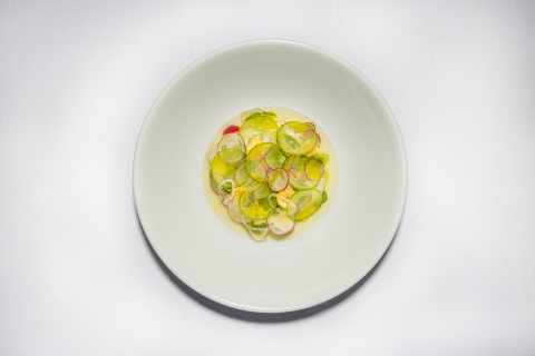 Fluke ceviche with cucumber and radish